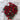 Glossy Red & Green Wooden Beads
