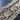 Wide Netted Border - 18in