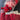 Vintage Feathers Bundle - Red