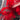 Vintage Feathers Bundle - Red