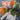 Vintage Multi-Color & Style Feathers Bundle