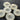 1-inch White/Cream Textured Translucent 2-Hole Buttons