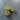 1-inch "Deep Slot" Center 2-Hole Buttons