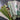 "On the Green" Cotton Remnants Bundle