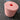 Soap Fantasy Luxurious Cedar Cone - Enclosed Floral Silicone Soap Making Mold