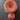 Pink Yarn Spools
