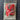 Simple Stitch Plastic Canvas Initialed Keepsake Box by Sew Simple (1983)