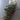 Two Spools of Red & Green Plaid Craft Ribbon