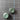 Vintage Buttons in Teal with Unique Faceted Center - Shanks - 1 1/8 inches