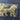 Gold Paper Foil Cutouts - Dresden Paper Die Cut Lions - Qty of 4 Lions