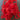 Soft Red Lace - 10-yards