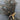 Black & Gold Wired Trim - Sold in 10-yard Lengths