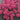 Neon Pink Faceted Flowers Vase Filler for Floral Craft Projects