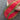Kirkland Wire Edged Christmas Craft Ribbon - Red with Green Patterned Edge