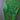 Holly Leaves Vintage Christmas Fabric