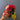 Mixed Bag Floral Stems