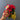 Mixed Bag Floral Stems