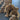 Carved Wooden Craft Jointed, Bendable Teddy Bears