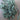 Forest Green Lace - 10-yards