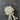 Faux Pearl Pin Embellishment