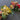 Mixed Bag Floral Stems